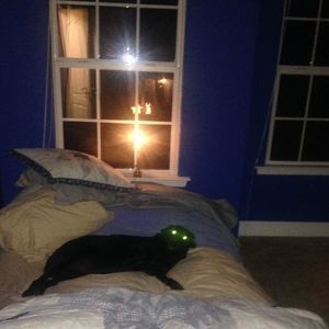 Meet your Posher, Tee